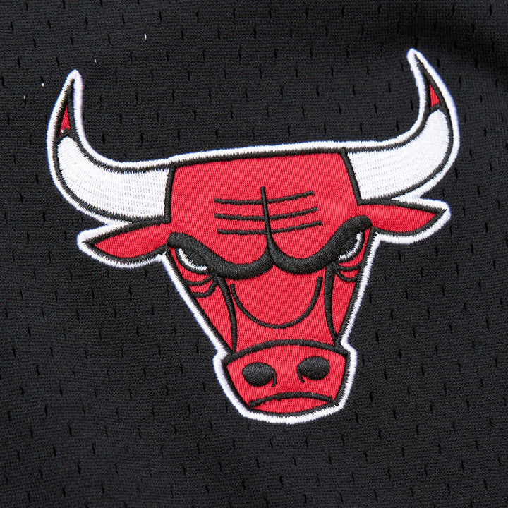 Chicago Bulls Mitchell & Ness Fashion Mesh V-Neck Vintage Logo