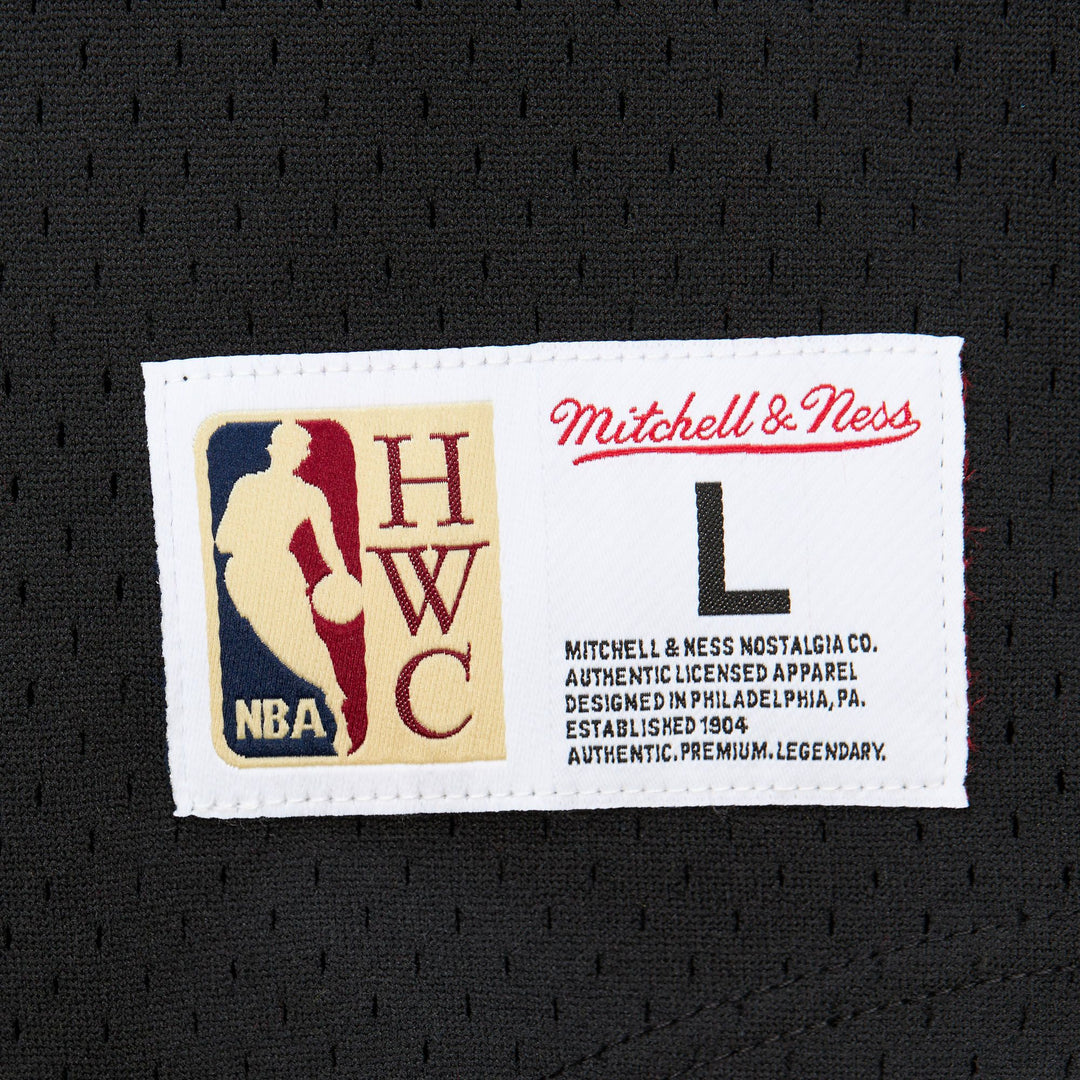 Los Angeles Lakers Mitchell & Ness Fashion Mesh V-Neck Vintage Logo