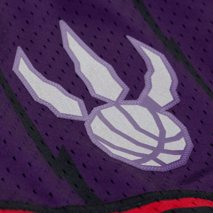 Toronto Raptors Mitchell & Ness purple 1998-99 Swingman shorts, additional gallery view 3