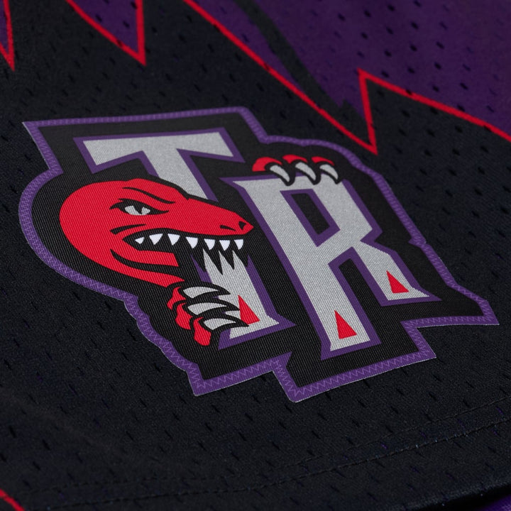 Toronto Raptors Mitchell & Ness purple 1998-99 Swingman shorts, additional gallery view 4