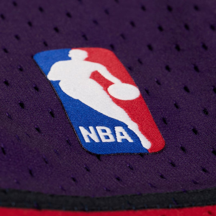 Toronto Raptors Mitchell & Ness purple 1998-99 Swingman shorts, additional gallery view 5