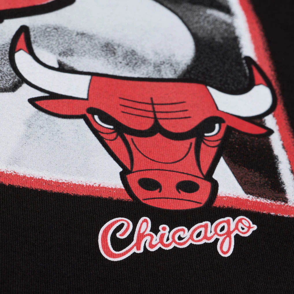 Chicago Bulls Mitchell & Ness Freeze Frame Classic Tee Dennis Rodman- Black