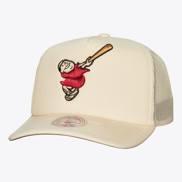 San Diego Padres Mitchell & Ness MLB Evergreen Trucker Coop Padres
