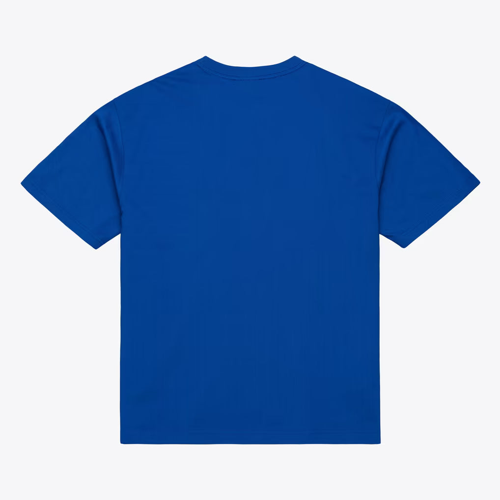 Los Angeles Dodgers Mitchell & Ness Team Color Head Coach SS Tee- Royal