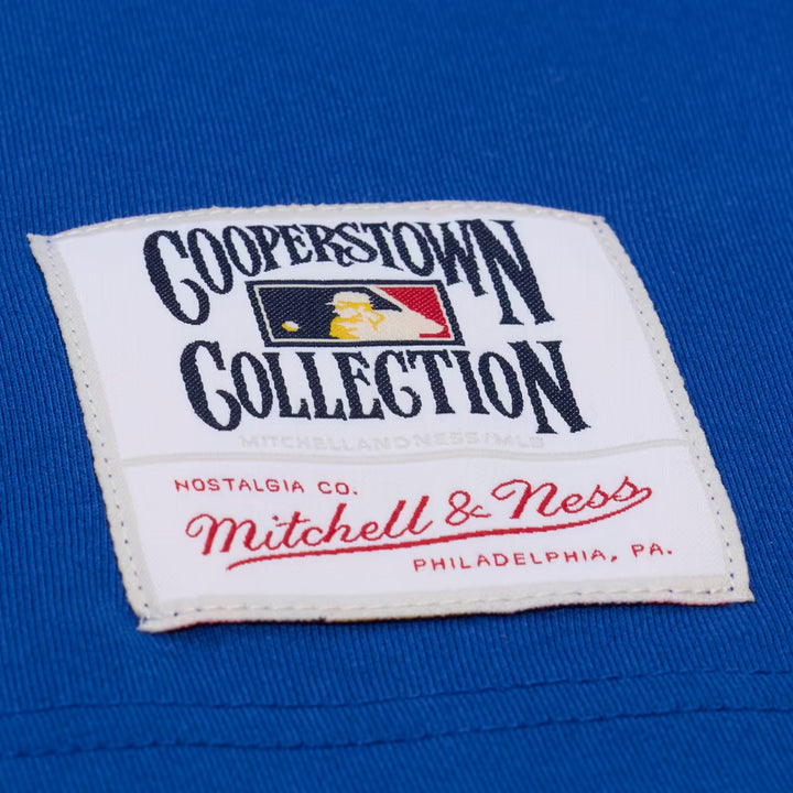 Los Angeles Dodgers Mitchell & Ness Team Color Head Coach SS Tee- Royal
