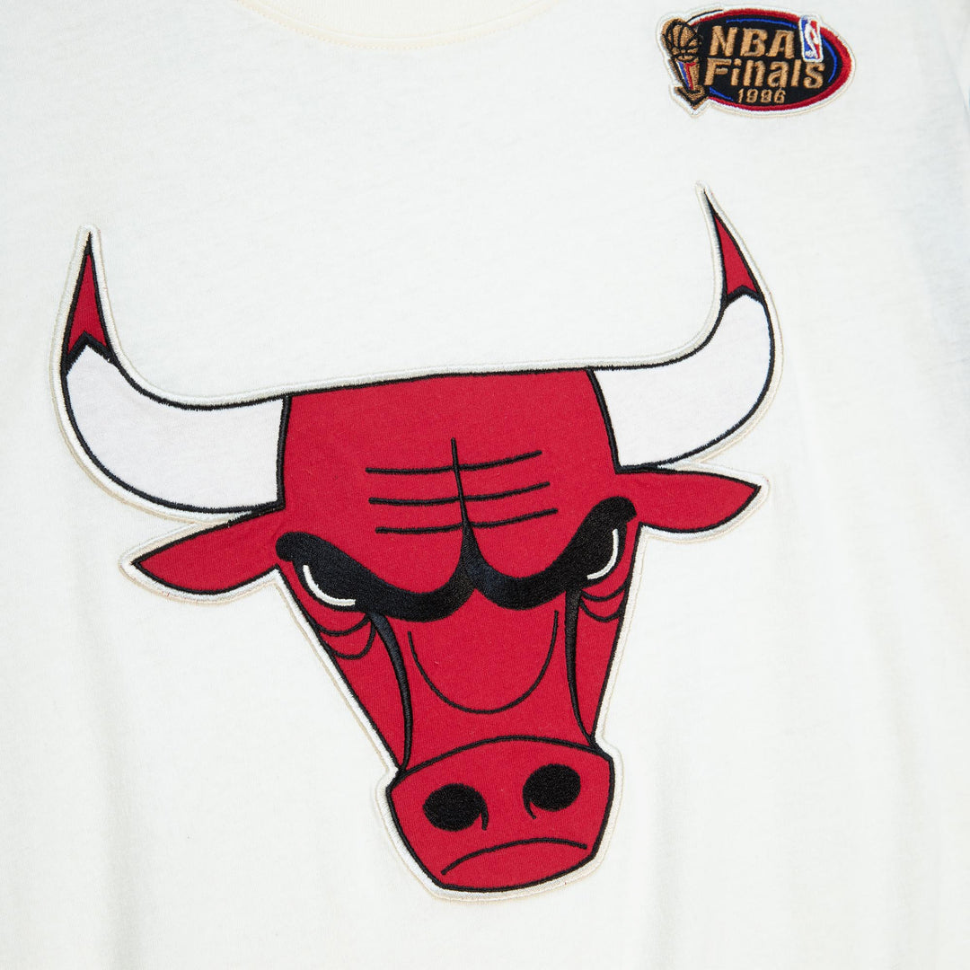 Chicago Bulls Mitchell & Ness NBA Color Blocked Tee Bulls