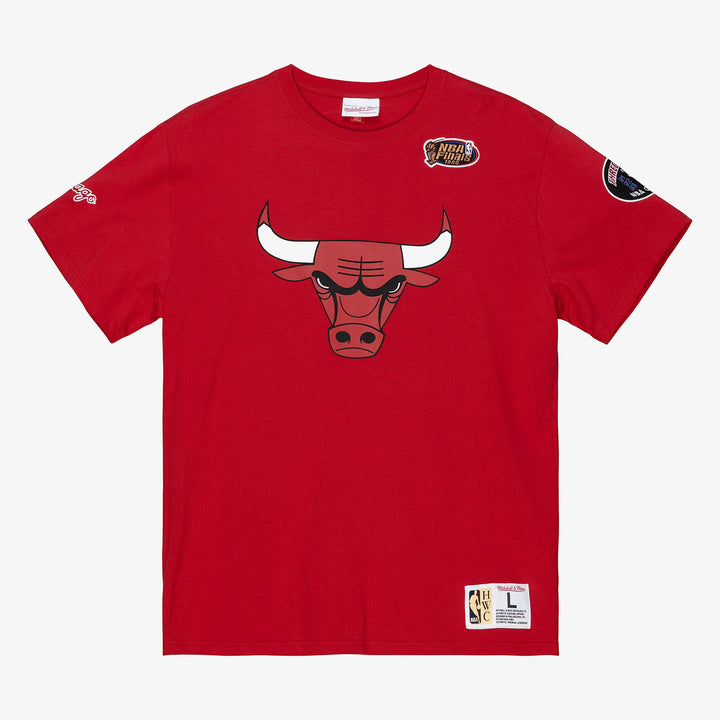 Chicago Bulls Mitchell & Ness NBA Team Origins Tee Bulls