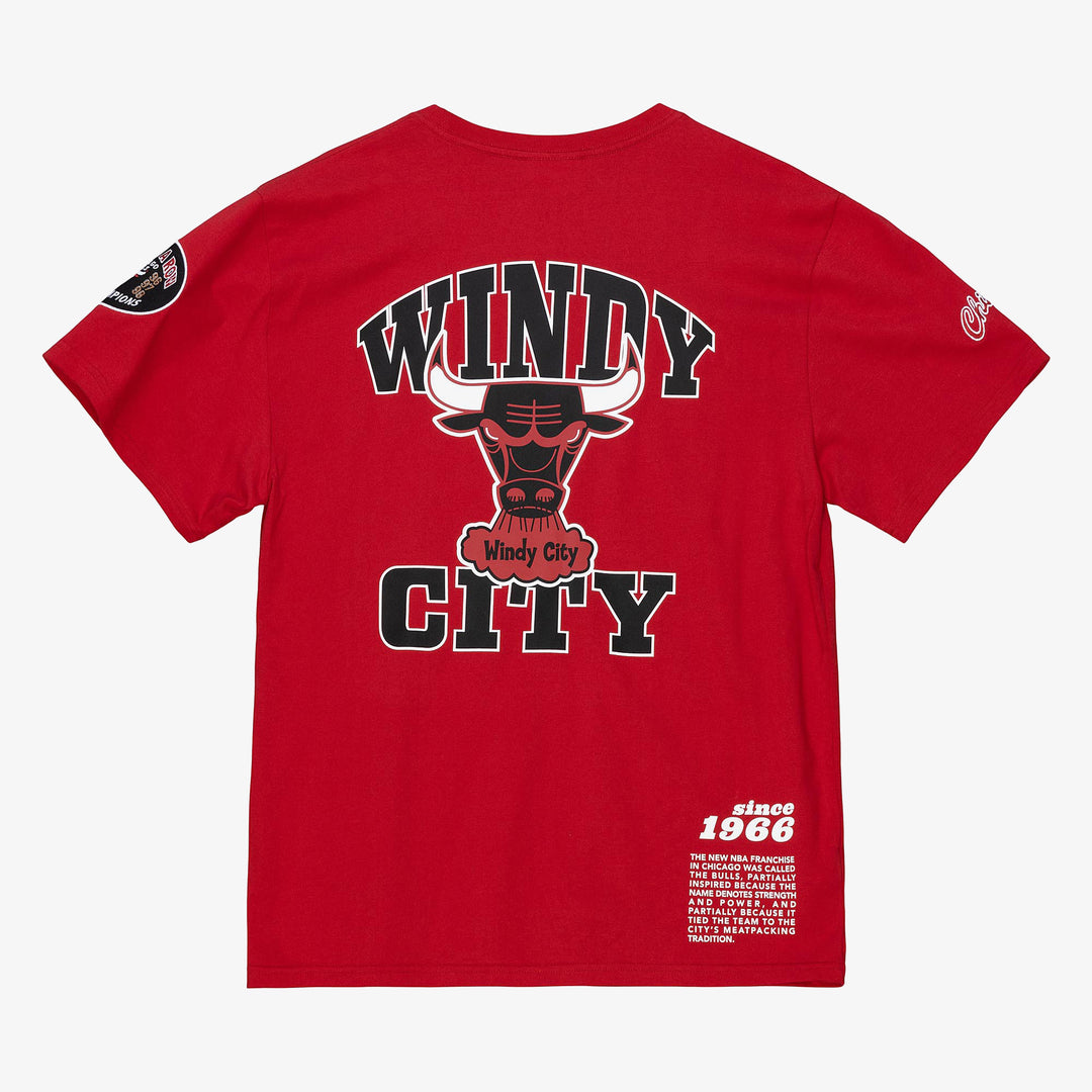Chicago Bulls Mitchell & Ness NBA Team Origins Tee Bulls