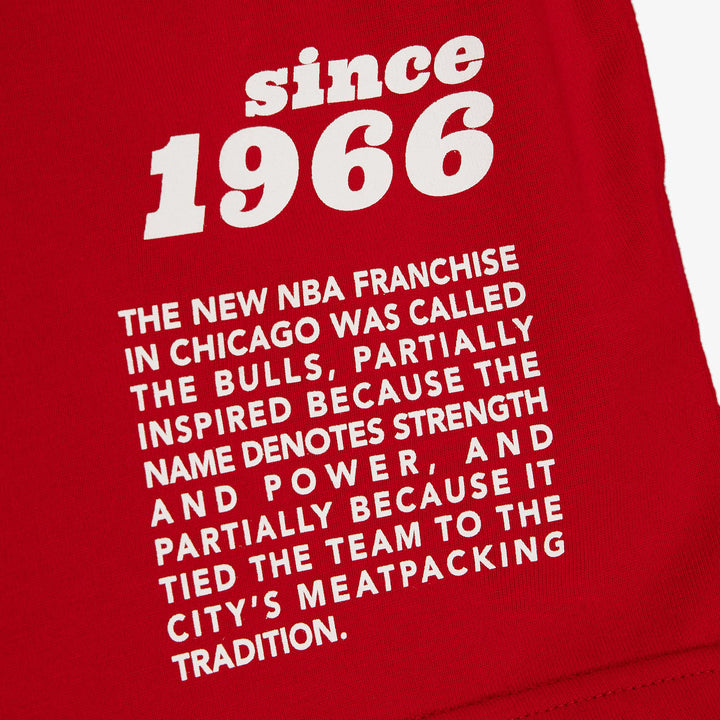 Chicago Bulls Mitchell & Ness NBA Team Origins Tee Bulls