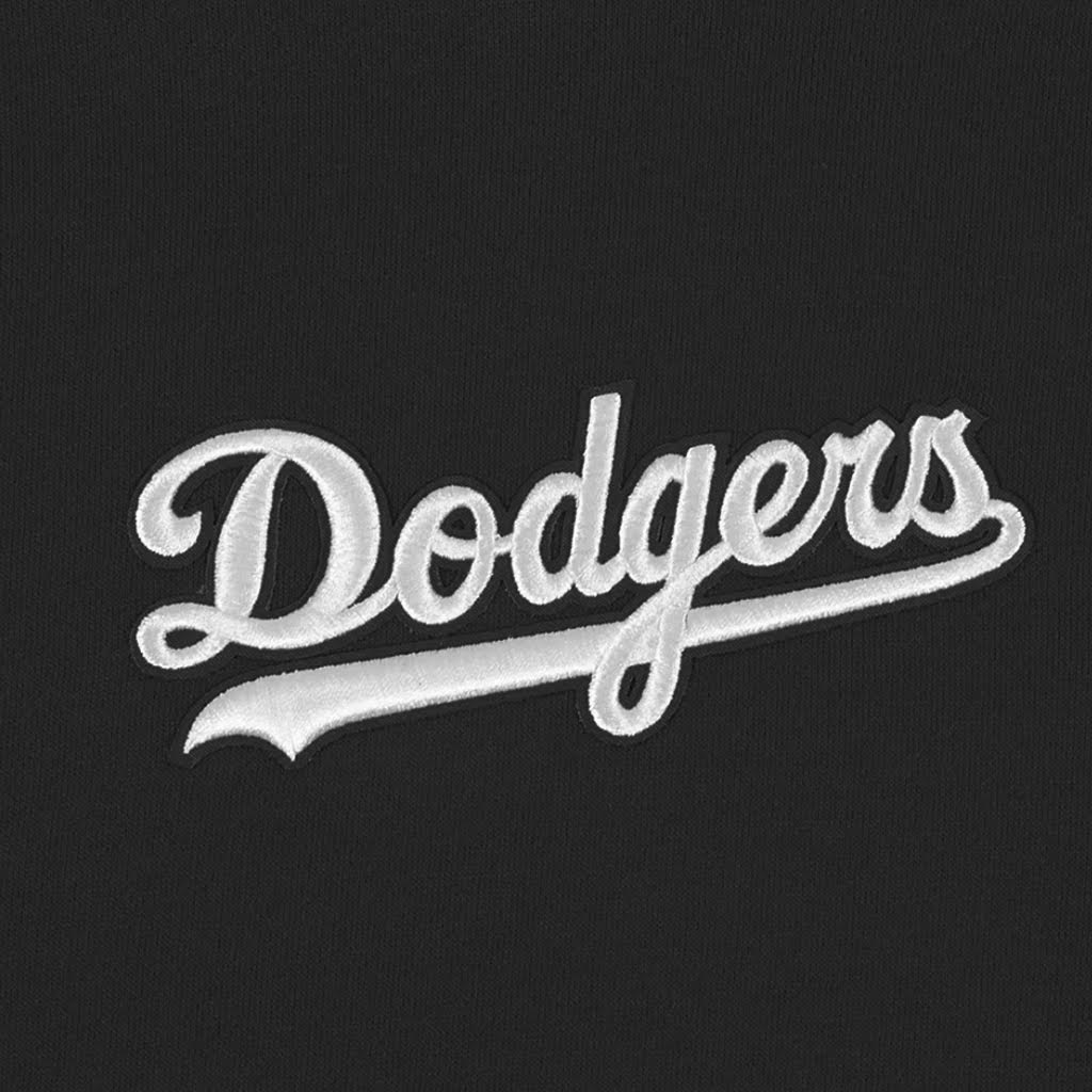 Los Angeles Dodgers Pro Standard Wingspan Drop Shoulder Hoodie Black